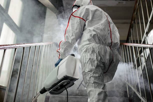 Environmental Consulting for Mold Prevention